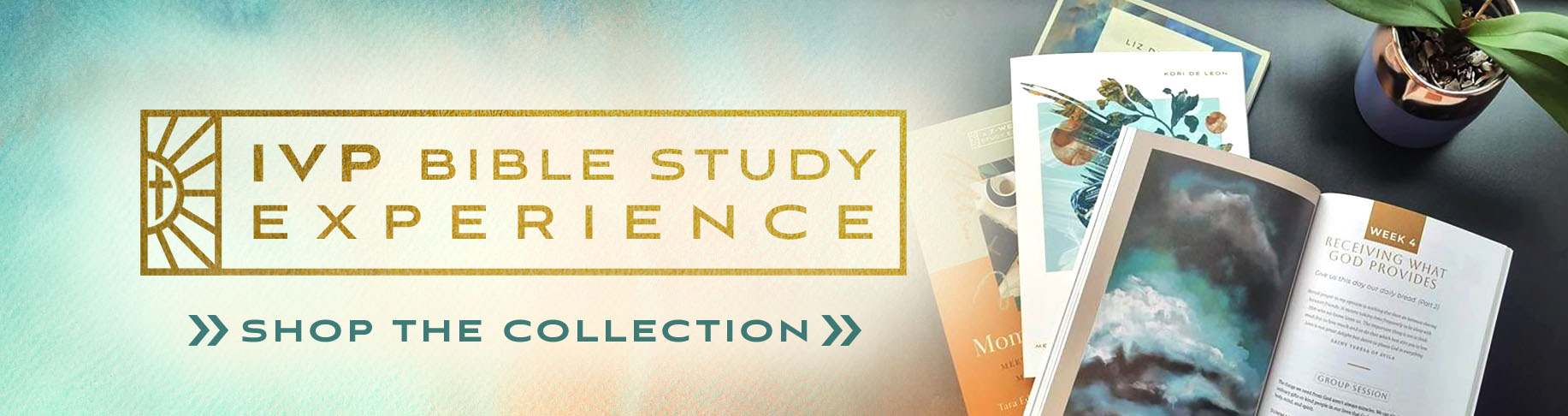 IVP Bible Study Experience - Shop the Collection