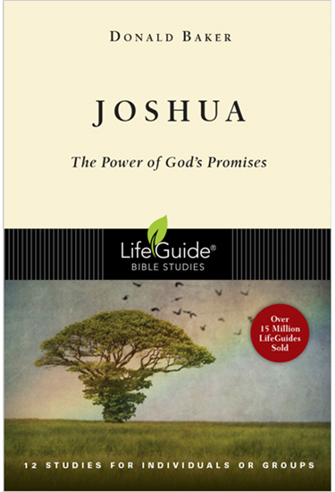 Joshua: The Power of God's Promise, By Donald Baker