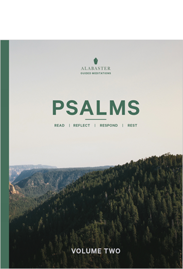 Psalms, Volume 2: With Guided Meditations, Edited by Brian Chung and Bryan Ye-Chung
